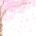 sakura.jpg