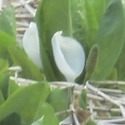 20190508mizubasyou.jpg